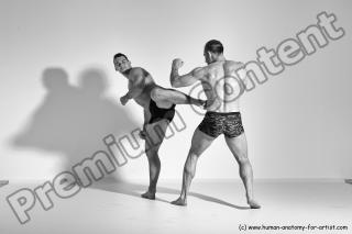 fighting reference 07 08